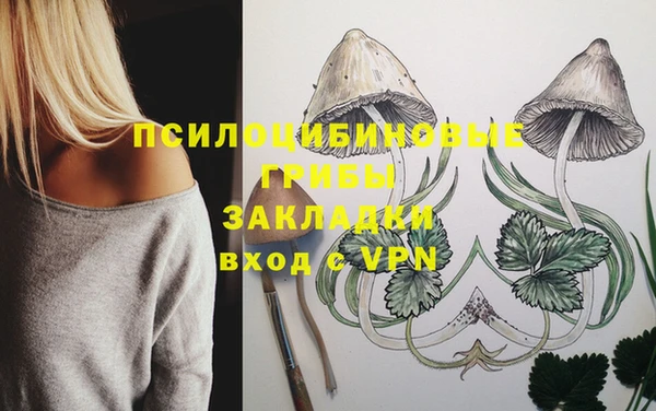 эйфоретик Белоозёрский