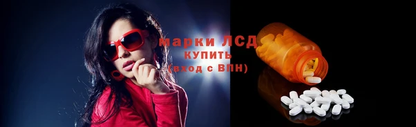 PSILOCYBIN Баксан