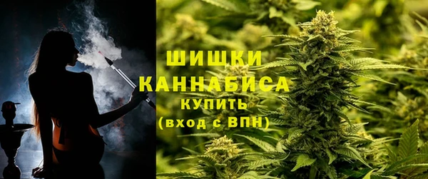 PSILOCYBIN Баксан