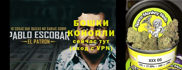 PSILOCYBIN Баксан
